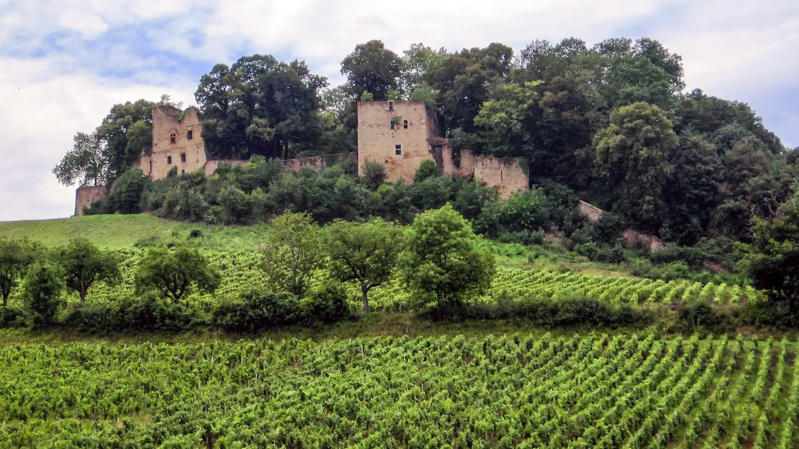 Visitez le Château d'Arlay dans le Jura avec le Pass Patrimoine © M.Minderhoud - CC BY SA 3.0