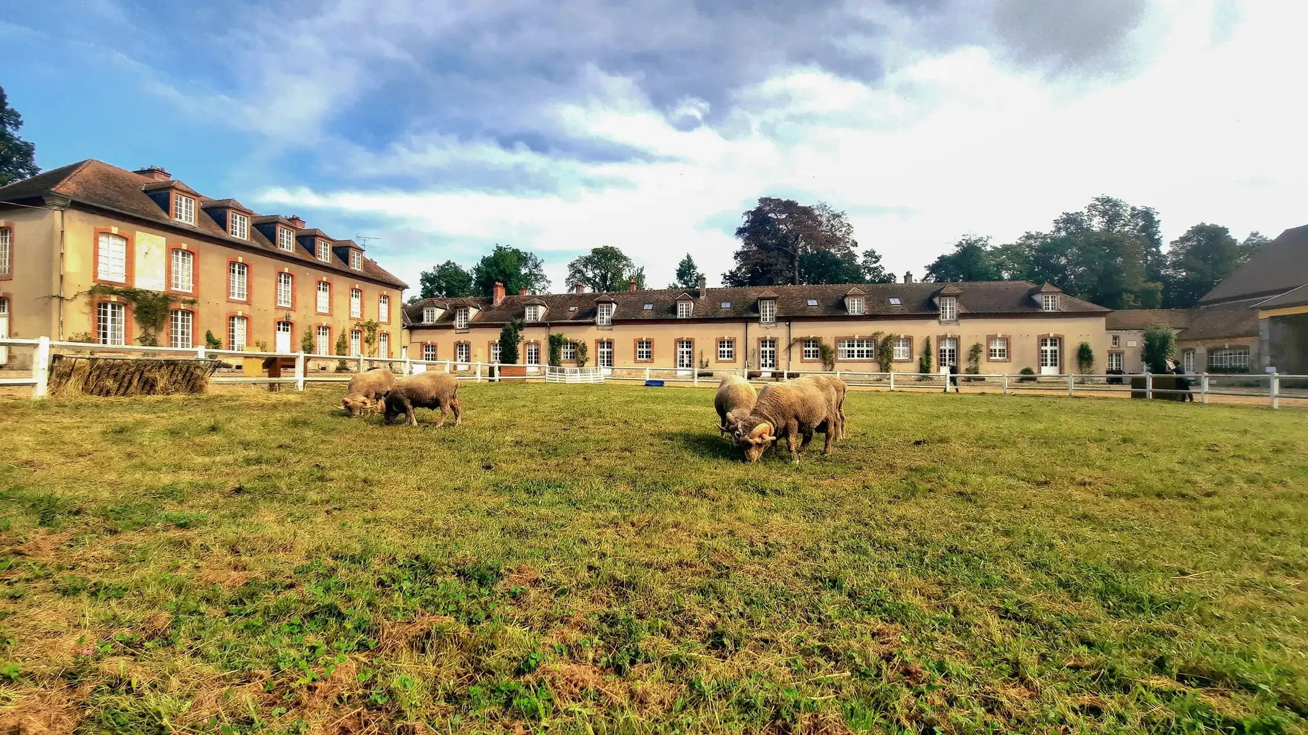 Visitez la Bergerie nationale de Rambouillet dans les Yvelines avec le Pass Patrimoine © Xenophôn