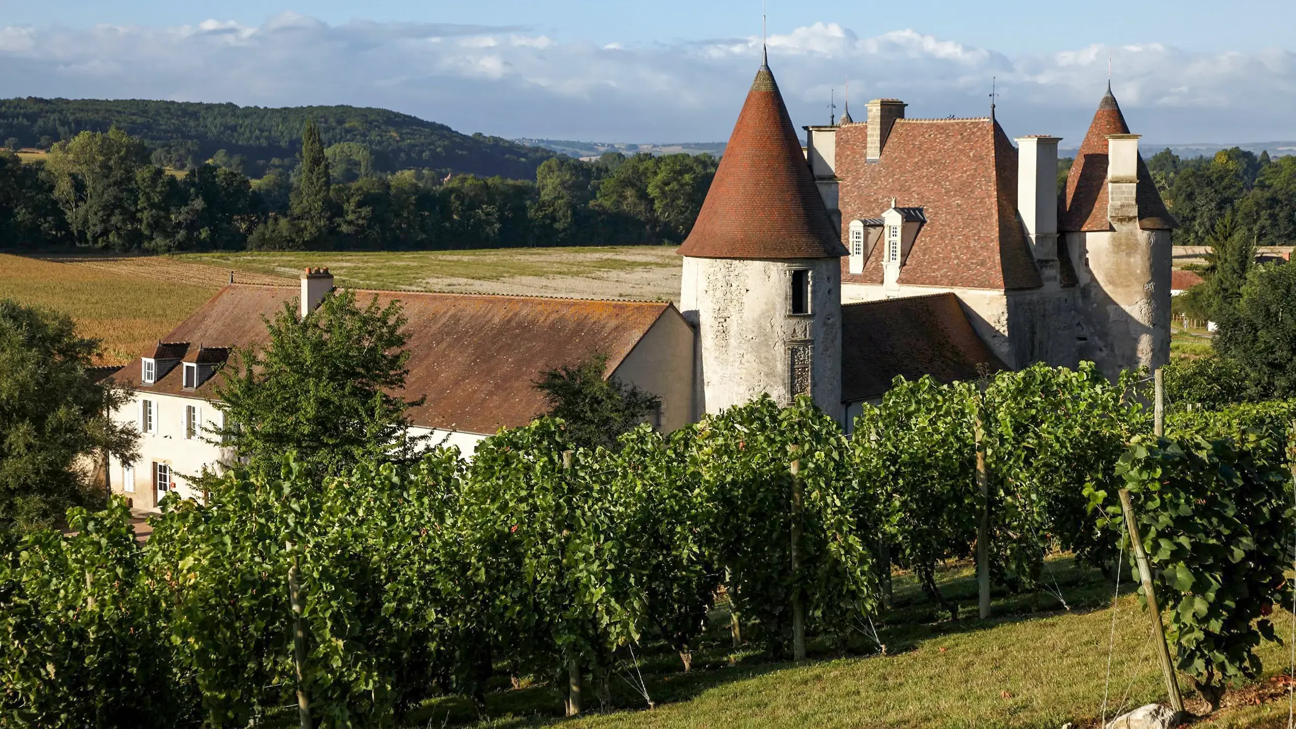 Château de Chareil-Cintrat à visiter en Auvergne avec le Pass Patrimoine © D. Bordes, CMN, Paris