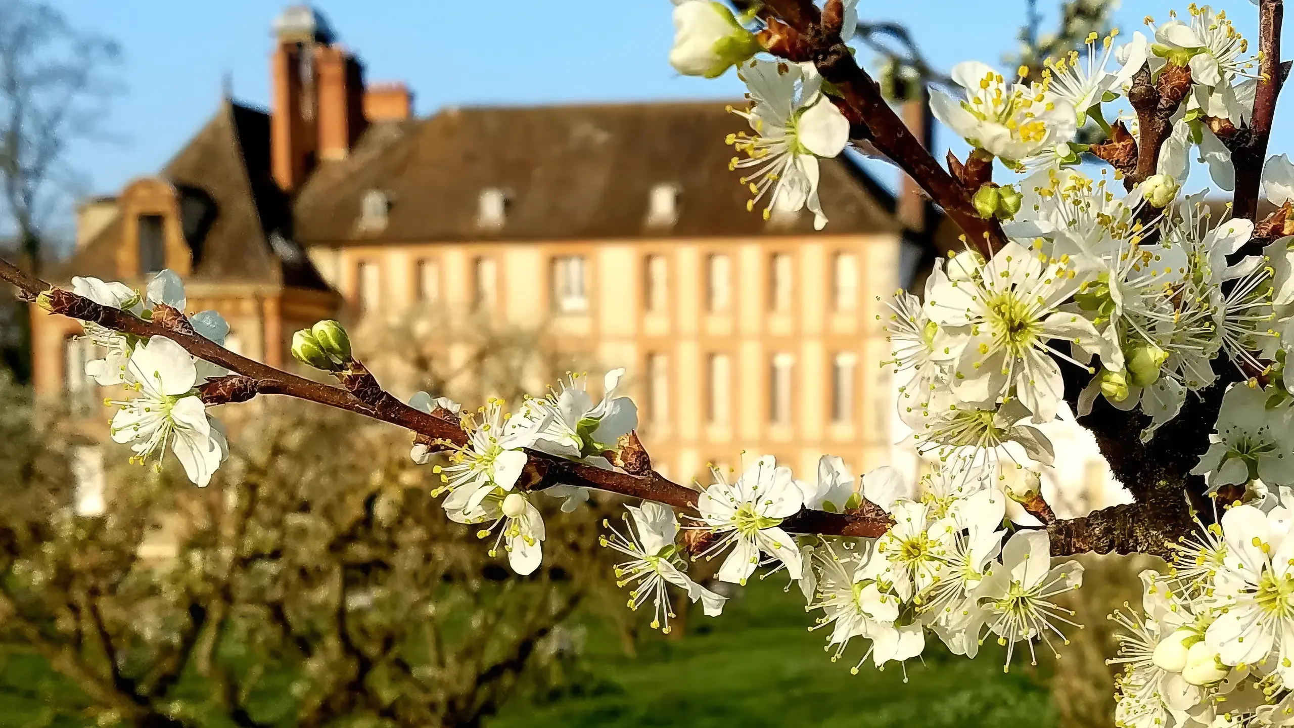Visitez le Musée national de Port-Royal des Champs dans les Yvelines avec le Pass Patrimoine © musée national de Port-Royal des Champs
