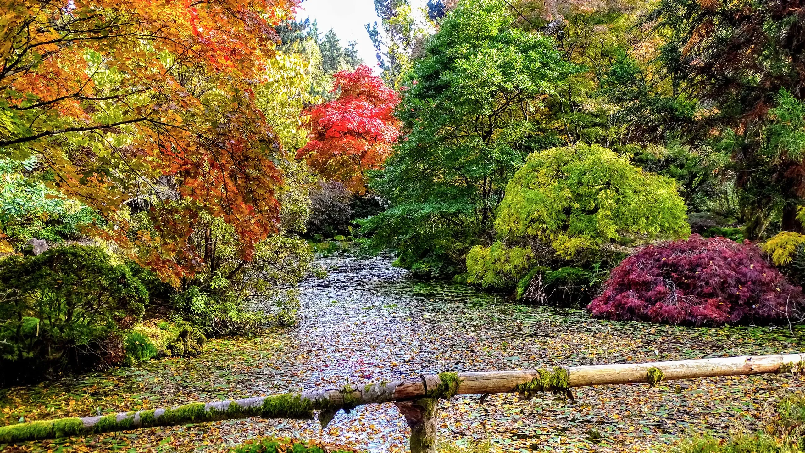 Visitez le Jardin botanique de Gondremer, dans les Vosges, grâce au Pass Patrimoine. © Claude Maix
