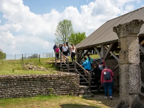 Visite guidée du site des vestiges gallo-romains © MuséoParc Alésia