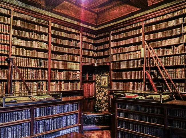Bibliothèque du Château de Menthon Saint-Bernard © Cereales Killer