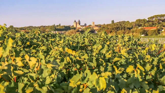Chateau de Margon, Jardin vignes ©Camille de Margon
