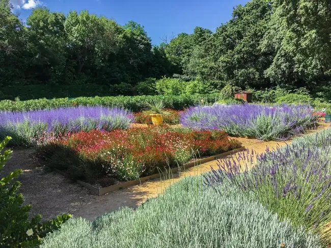Chateau de Margon, Jardin potager © Camille de Margon