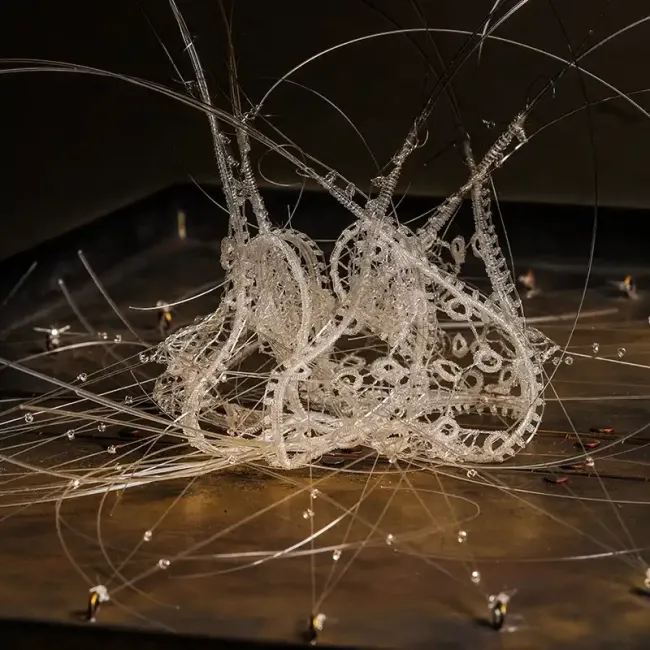 Éclosion de Marjolaine Salvador-Morel au Musée des Beaux-Arts et de la Dentelle d'Alençon © David Commenchal