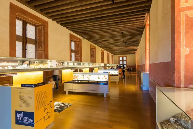 La galerie Renaissance du musée de la Préhistoire du Grand-Pressigny © Stevens Frémont