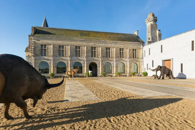 Musée de la Préhistoire du Grand-Pressigny © Stevens Frémont