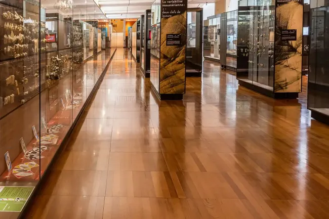 Galerie basse au musée national de Préhistoire © Maxime Villaeyx / MNP