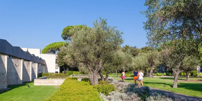 Jardin du musée national Marc Chagall © Musées nationaux du XXe siècle des Alpes-Maritimes / Gilles Ehrentrant