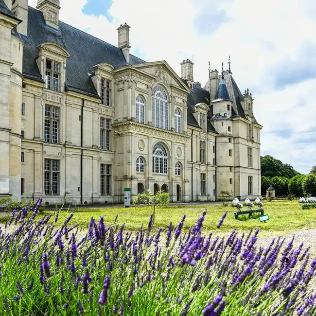 Le château d'Ecouen © Musée national de la Renaissance / C. Schryve