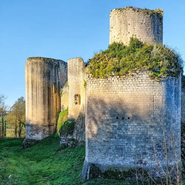 Fossé est du château de Coudray-Salbart © Michel Rodon, Amis du Coudray Salbart