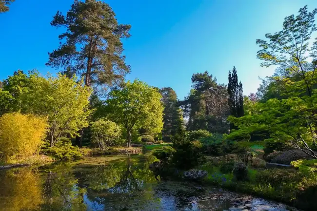 Visites estivales à l'arboretum des Grandes Bruyeres © Sylvain Gibey