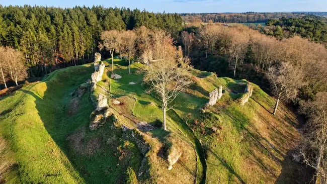 Vue aérienne du château de Montfort-sur-Risle © AMCP