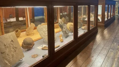 Visitez le Musée d'Histoire naturelle de Gaillac, dans le Tarn, avec le Pass Patrimoine. © LAURENT Morgane
