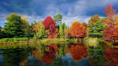 Visitez l'Arboretum des Grandes Bruyères, dans le Loiret, avec le Pass Patrimoine © Sylvain GIBEY